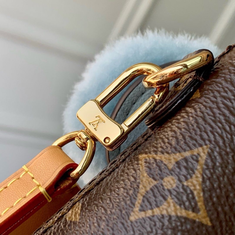 LV Satchel bags